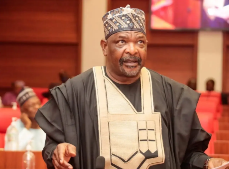 Senator Ningi resumes plenary after suspension