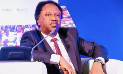 Minimum Wage: Half ‘agbado’ better than none – Shehu Sani on NLC strike