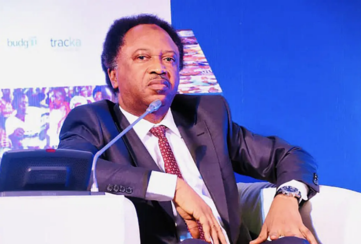 Minimum Wage: Half ‘agbado’ better than none – Shehu Sani on NLC strike